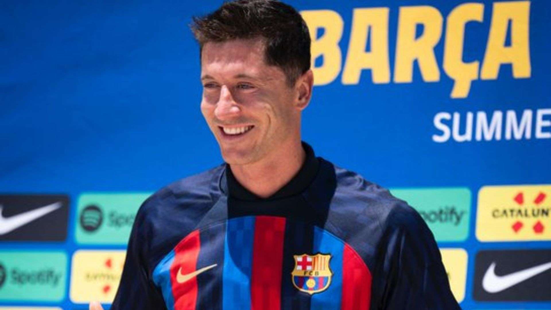 湾区的完美 湾区的完美